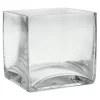 Best Sellers Clear Glass Cube Vase, 4