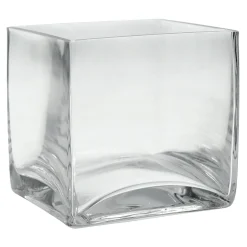 Best Sellers Clear Glass Cube Vase, 4