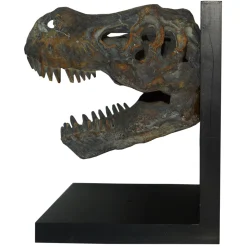 Cheap Online Resin T-Rex Fossil Head Bookend