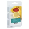 Closeout Sale Lemon Sugar Wax Melt