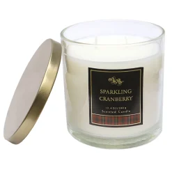 Closeout Sale 13.4Oz Sparkling Cranberry Jar