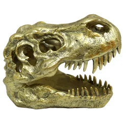 Exclusive Gold T-Rex Fossil Head, 6