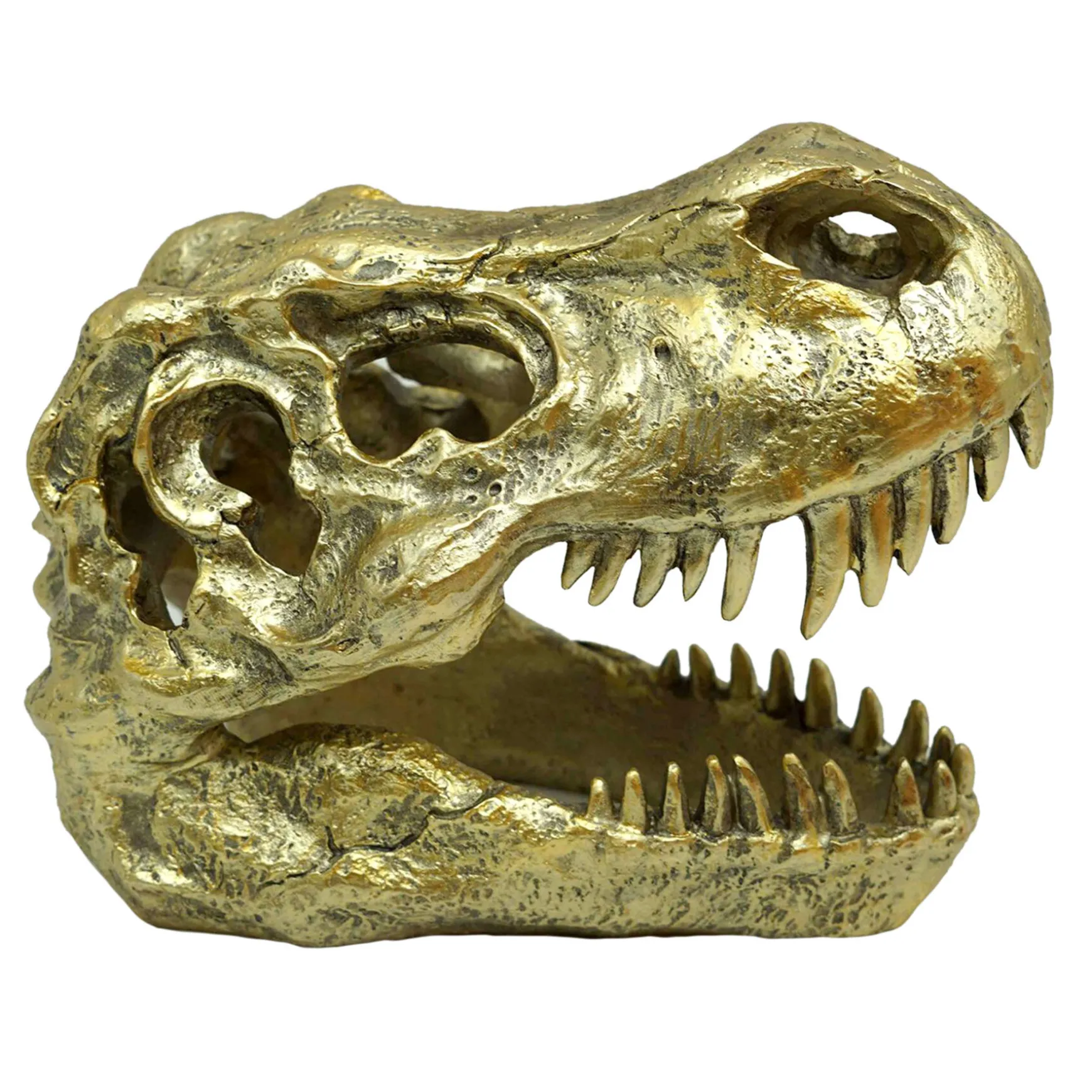 Exclusive Gold T-Rex Fossil Head, 6