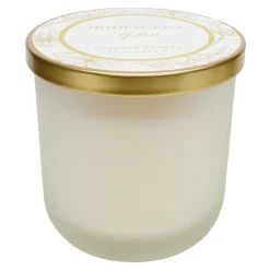 Exquisite Gifts Iridescent Glow Scented Glass Jar Candle, 11Oz