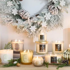 Exquisite Gifts 13.4Oz Cinnamint Bark Jar