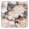 Flash Sale Acetate Box Potpourri Mystic Birchwood