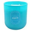 Outlet Sale Sun-Kissed Agave Scented Glass Candle, 12.5Oz