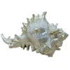 Outlet Sale Ty Pennington Metallic Whelk Shell, 5