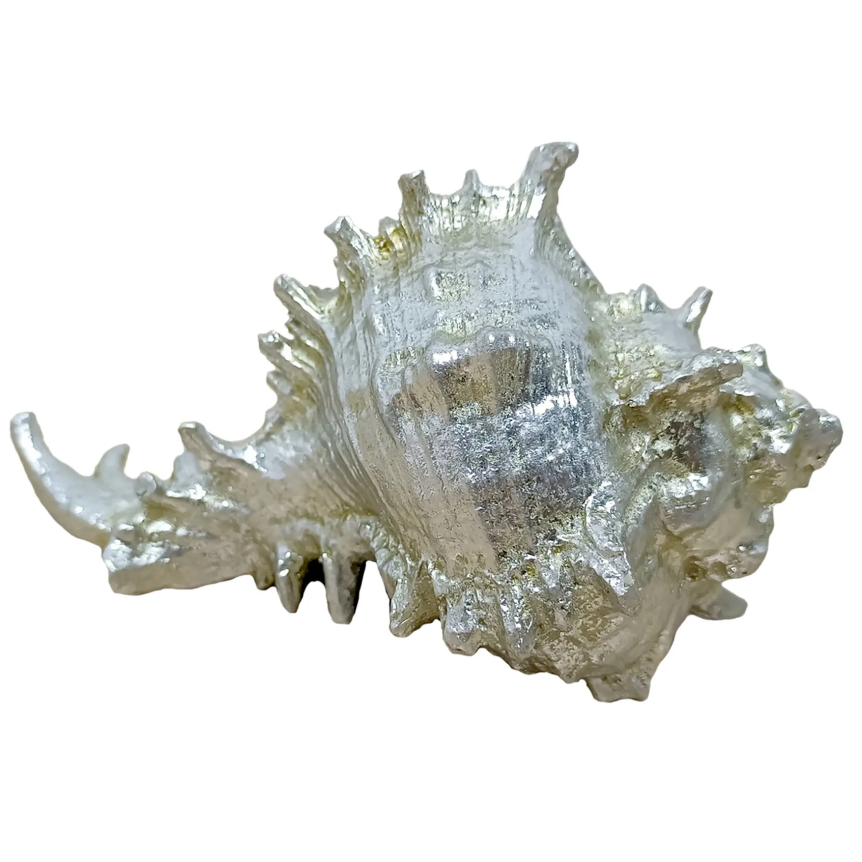 Outlet Sale Ty Pennington Metallic Whelk Shell, 5