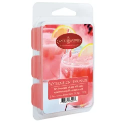 Outlet Sale Watermelon Lemonade Wax Melt