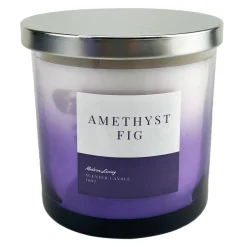 Premium Laila Ali Amethyst Fig Scented Jar Candle, 14Oz