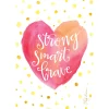 Premium 3Pk Sachet Strong Smart Brave