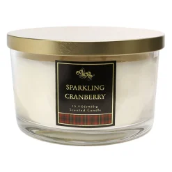 Reliable Quality 15.9Oz Sparkling Cranberry Jar