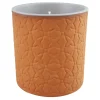 Sale River Birch & Fern Scented Jar Candle, 10Oz